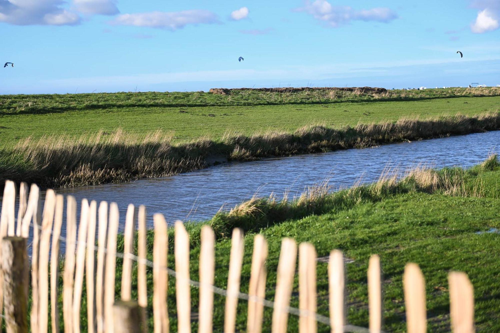 Tiny House Nature 15 Zur Meerseite - Green Tiny Village Harlesiel Carolinensiel Luaran gambar